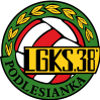 Podlesianka Katowice
