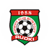 GKS Rudki logo