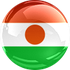 Niger (W) logo