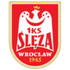 Sleza Wroclaw (W) logo
