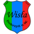 Wisla Dobrzyn logo