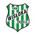 Wisloka Debica logo