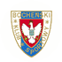 BKS Bochnia logo