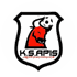 Apis Jedrzychowice logo
