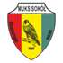Sokol K. Dolna (W) logo
