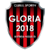 Gloria Bistrita (W)