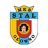 Stal Glowno