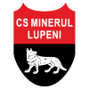 Minerul Lupeni