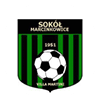 Sokol Marcinkowice