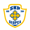 SKP Slupca