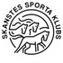 Skanste logo