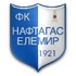 Naftagas Elemir logo