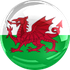 Wales U19 logo