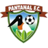 Pantanal logo