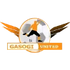 Gasogi United logo
