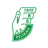 Pelikan Lowicz