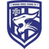 Wuhan Three Towns B logo