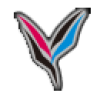 Yamanashi Gakuin (W) logo