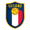 Uniao Suzano logo