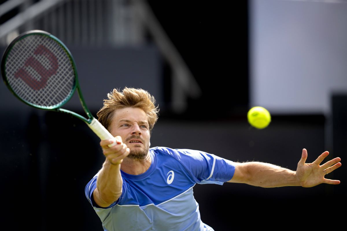 Давид Гофен