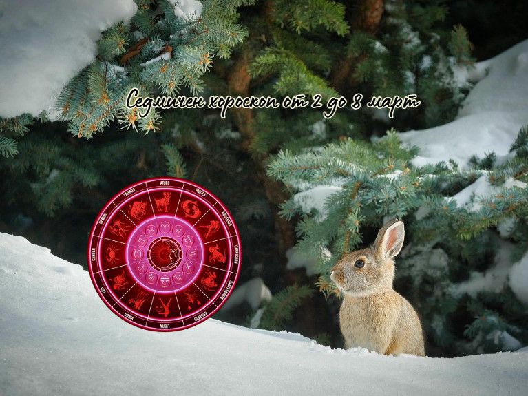 Седмичен хороскоп от 2 до 8 март: изключителен шанс в личен план за тази земна зодия