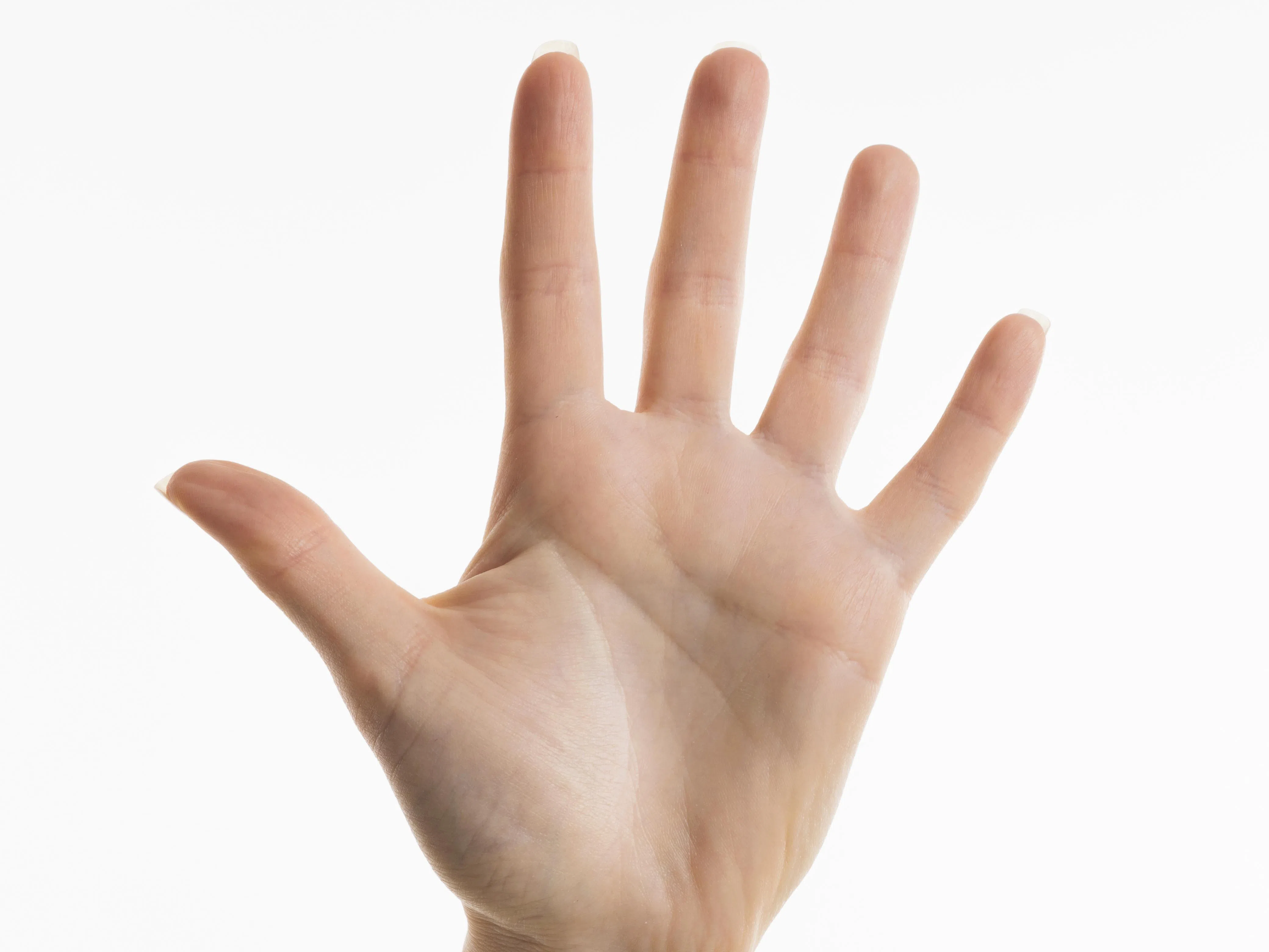 По дължината на този пръст може да определите колко години ще живеете