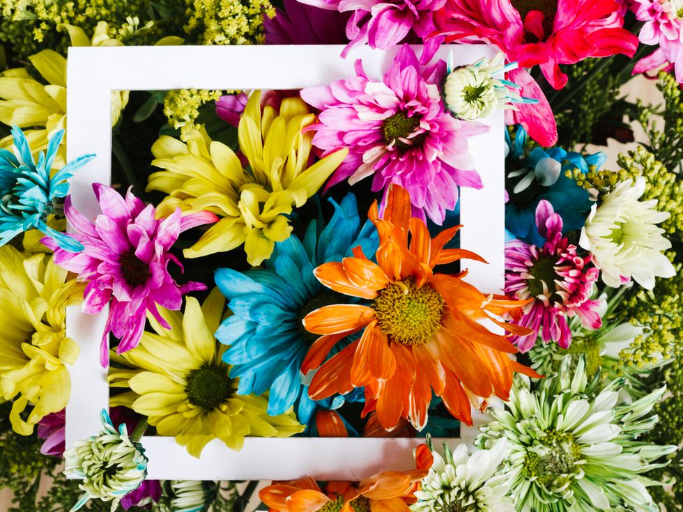 Посланията на природата: защо цветята са различни цветове и какво означават те