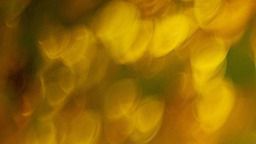 Вторник ни посреща с усещане за вътрешно напрежение което не