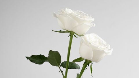 Поклонението пред поета Найден Вълчев ще бъде на 8 декември