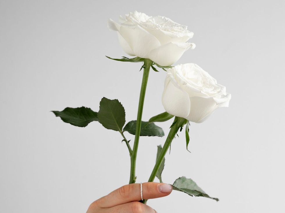 Изпращаме автора на песента "Една българска роза" - Найден Вълчев, на 8 декември