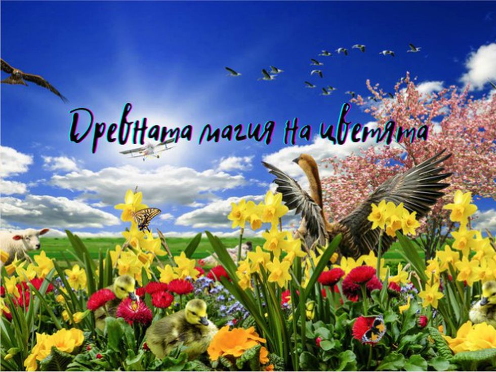 Древната магия на цветята