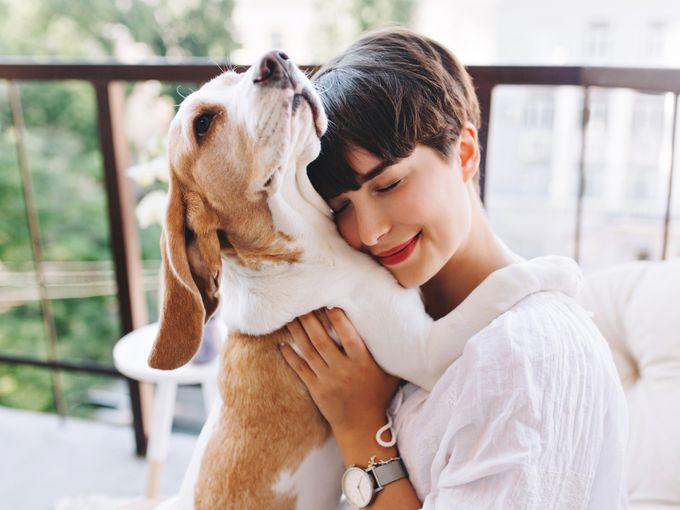 До 200 хиляди евро глоба и затвор за малтретиране на животно в Испания