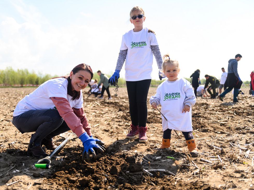 Доброволци от Пощенска банка засадиха над 2000 фиданки в Международния ден на Земята