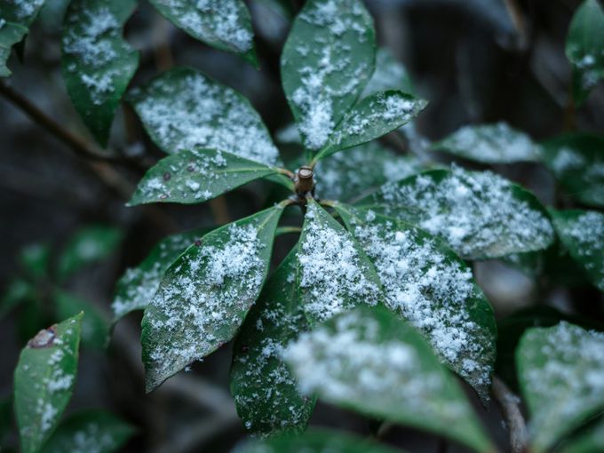 Пролетен обрат: Студен фронт и сняг на места очакват България за Великден