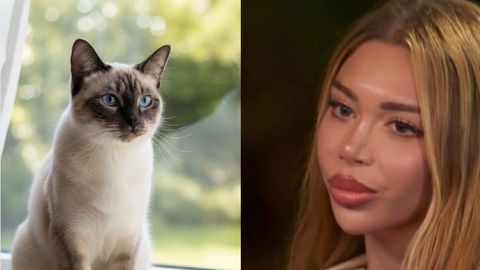 Във всяка жена дреме по една котка Всяка жена носи