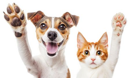 Езотериците и хората чувствителни към фините енергии са убедени че