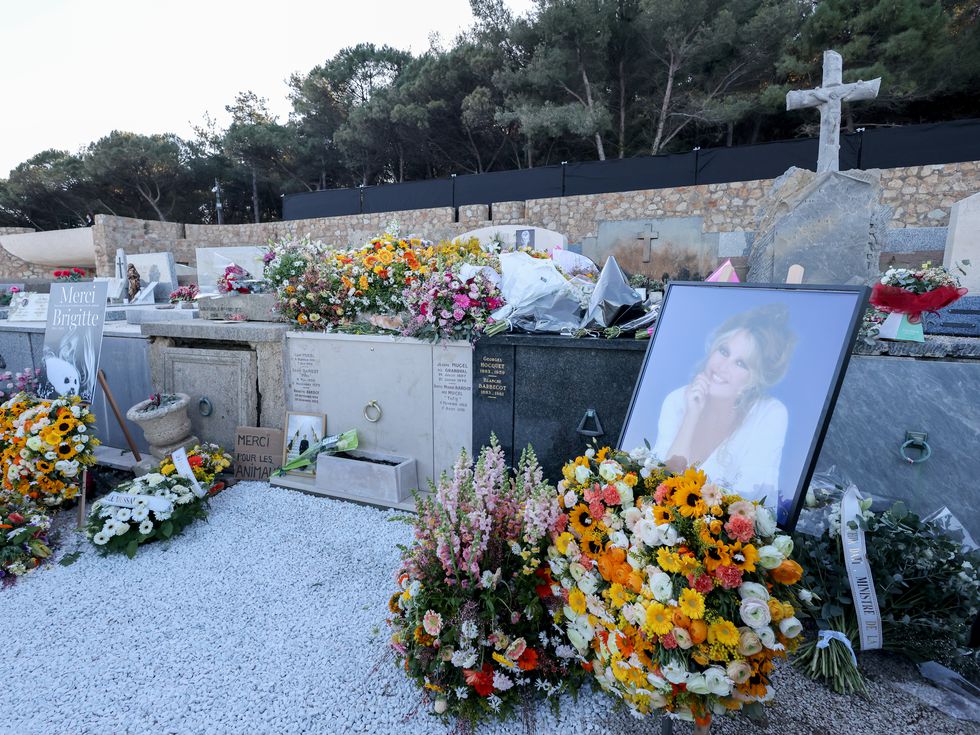 Наследството на легендата: Кой ще получи богатството на Брижит Бардо