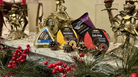 Ако си мислите че може да минете без сирене на