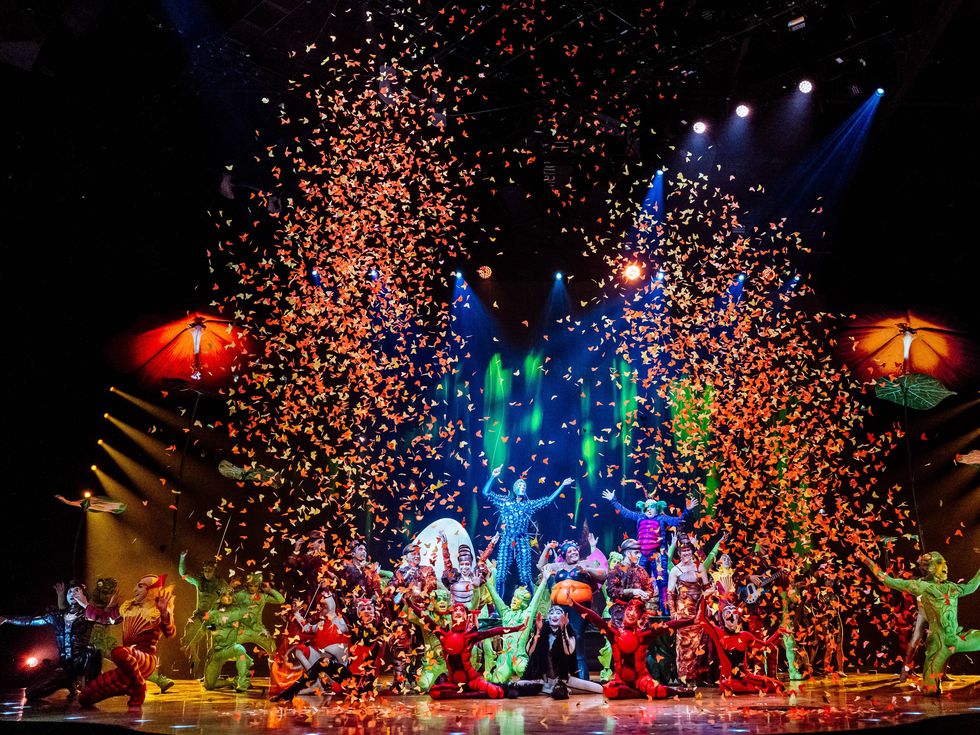 Cirque du Soleil ни разкрива живота на насекомите