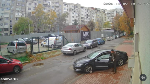 Вълна от възмущение избухна след като беше прегазено кучето Мая