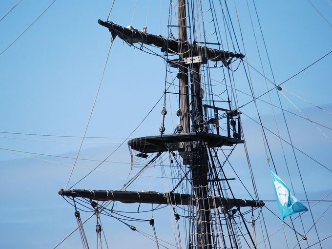 Двойка оцеля 66 дни в океана, след като китове потопиха яхтата им