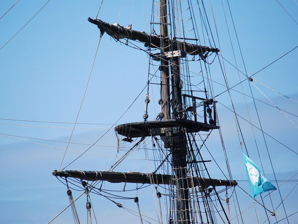 Двойка оцеля 66 дни в океана, след като китове потопиха яхтата им