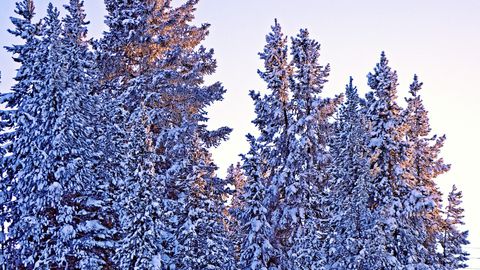 От Националния институт по метеорология и хидрология обявиха жълт код