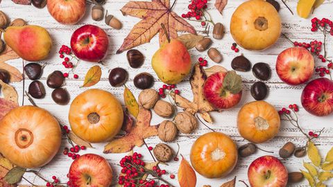 Есента носи радост за всички сетива. Цветовете на този сезон