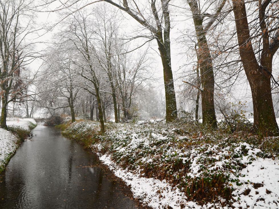 Проф. Рачев: Предстои затопляне, но студът ще се завърне