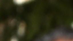 Световният и олимпийски шампион по вдигане на тежести Карлос Насар