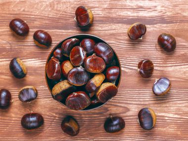 Носете кестени в джоба си – простият навик на Петър Димков за повече енергия и защита