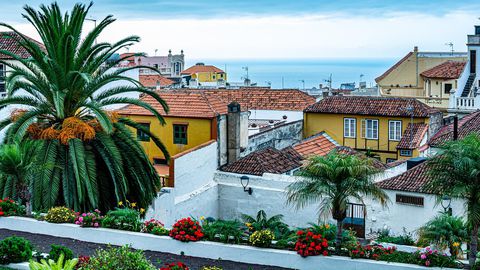 Докато по голямата част от Европа през ноември вече е студена