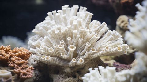 Земята е достигнала първата климатична повратна точка свързана с повишаване