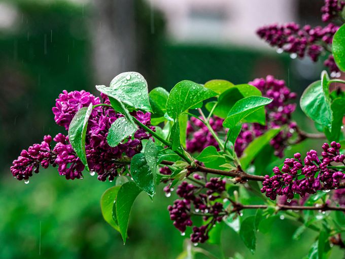 Времето до края на април: Ще се редуват слънце и дъжд, ще ни изненада ли сняг?